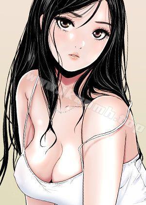 钢之炼金术师 封面